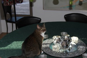 5008-Christmas-2011-12-27 cat looking guilty on the table