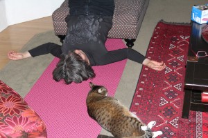 doing yoga with the cat