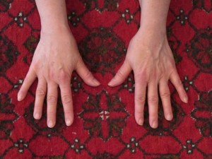 5028-blog-2012-01-09 hand comparison Jan. 2012