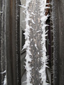 frost on the gate