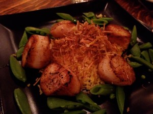 seared scallops