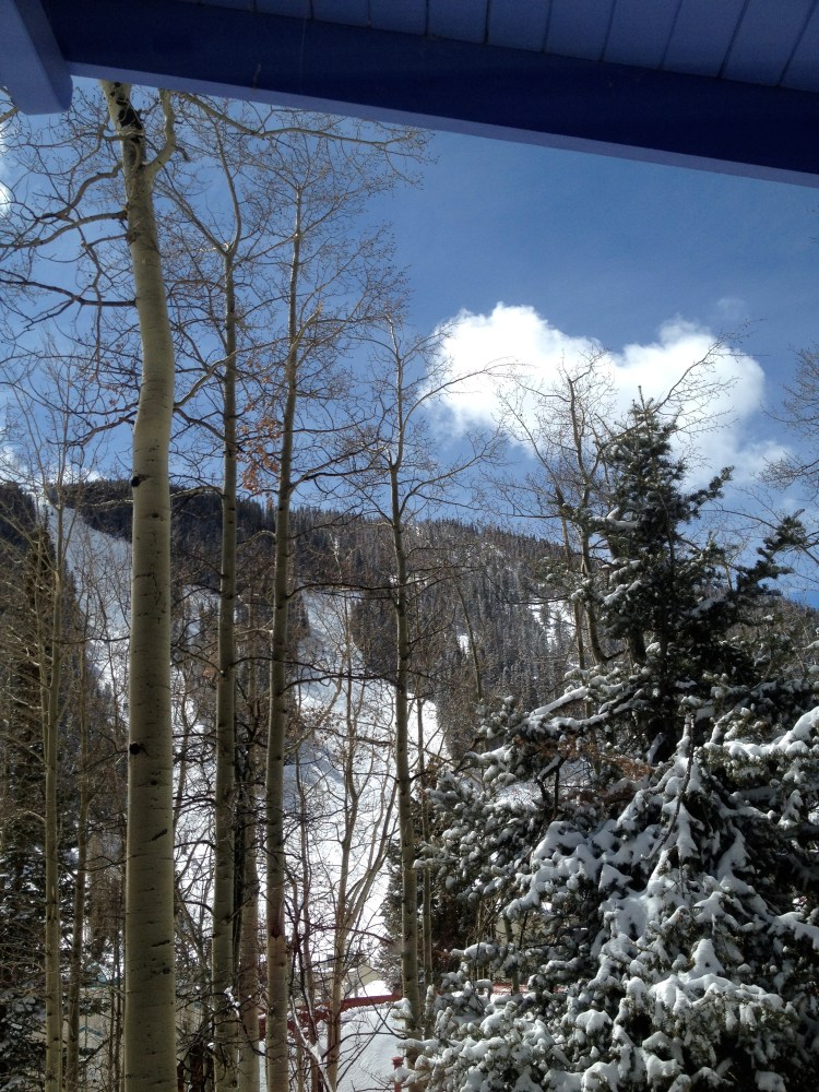 view out the front window