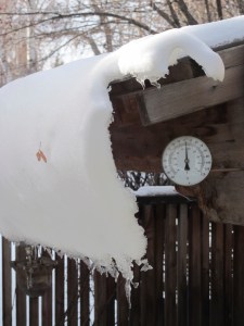 close up of snow close up of snow