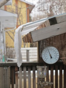 melting snow melting snow