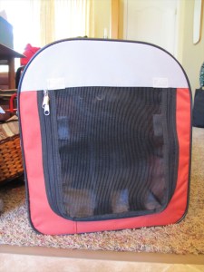 cat in carrier cat in carrier