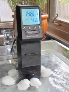 front of sous vide machine