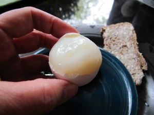 white of egg