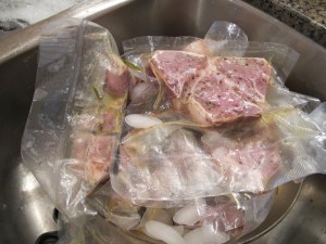 lamb chilling on ice lamb on ice