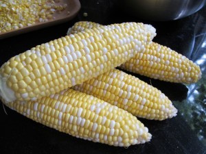 fresh cobs of corn fresh cobs of corn