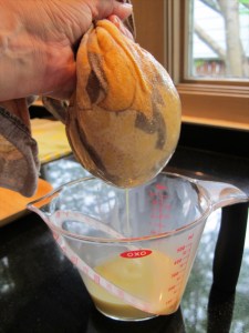 squeezing corn liquid squeezing out the corn liquid