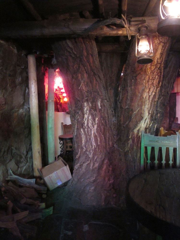 live tree trunk live tree trunk