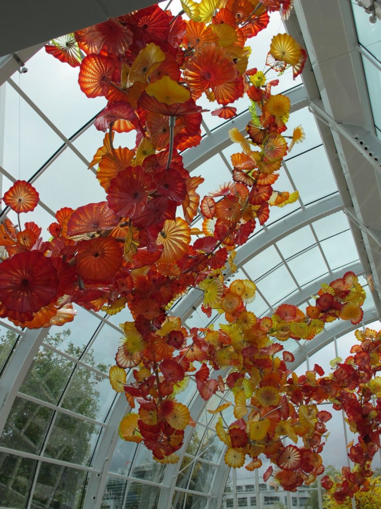 inside the glass house