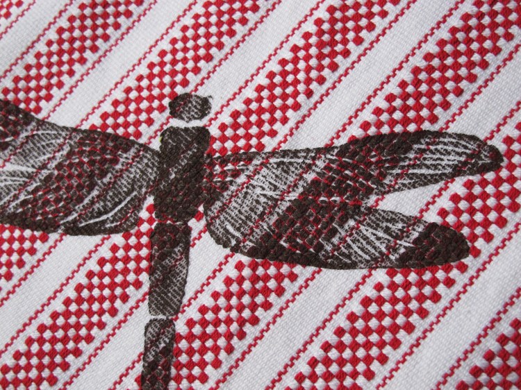 dragonfly detail