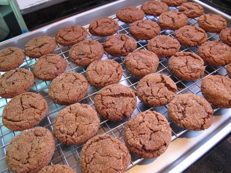 chewy chocolate gingerbread cookies