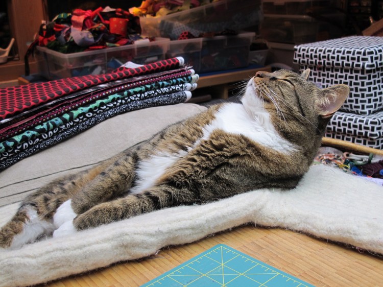 Kush basking in the light