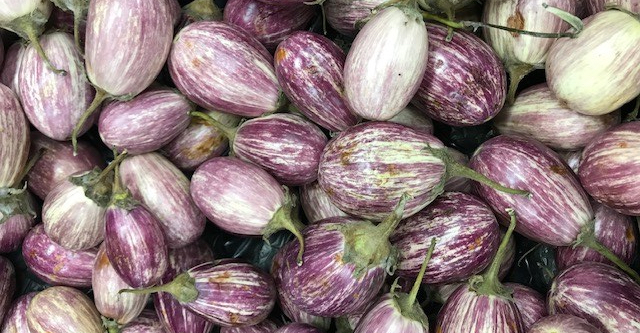 eggplants