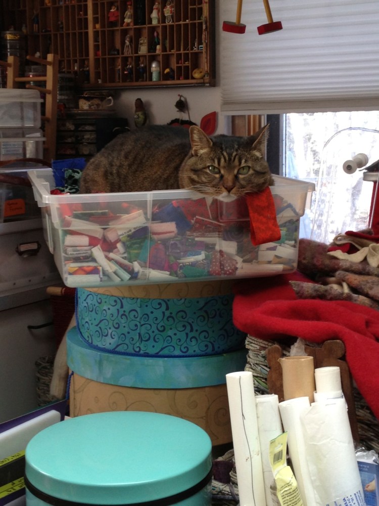 Kush in basket of fabric strips