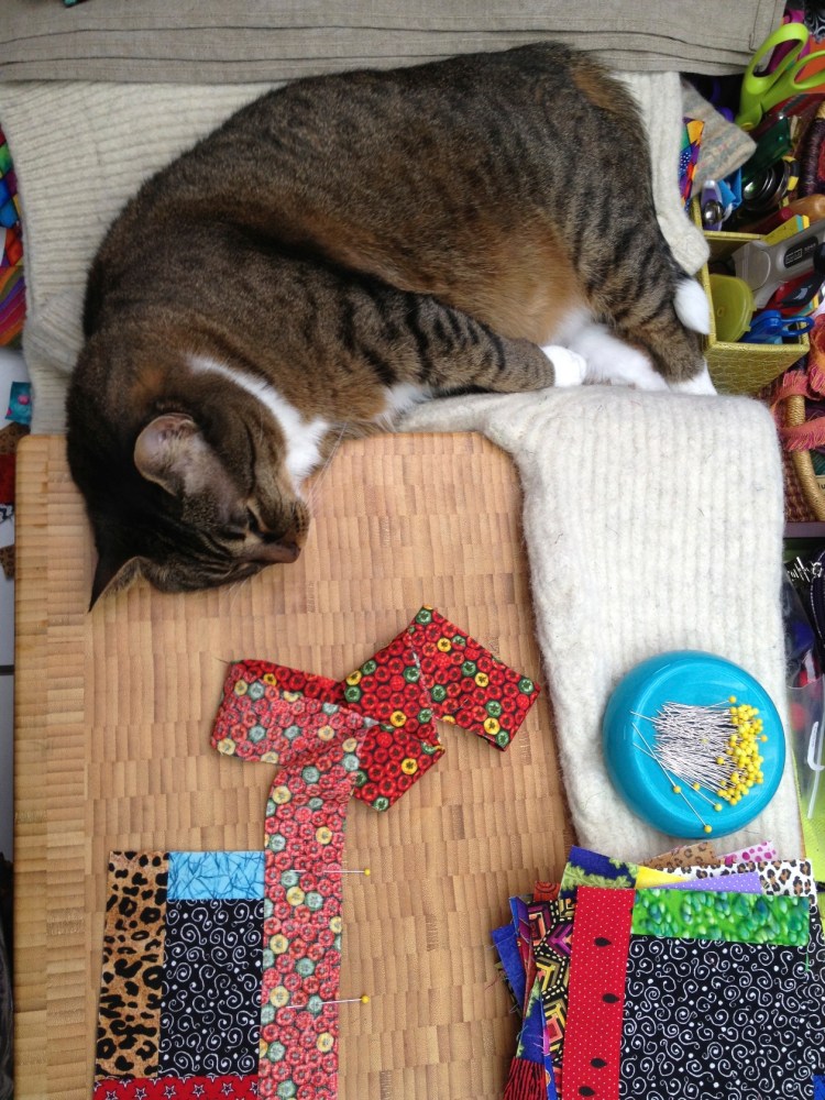 Kush on sewing table