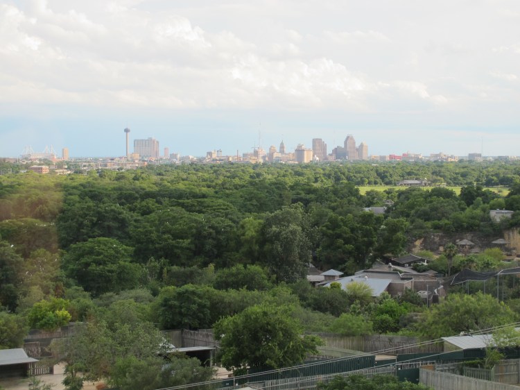 view from university
