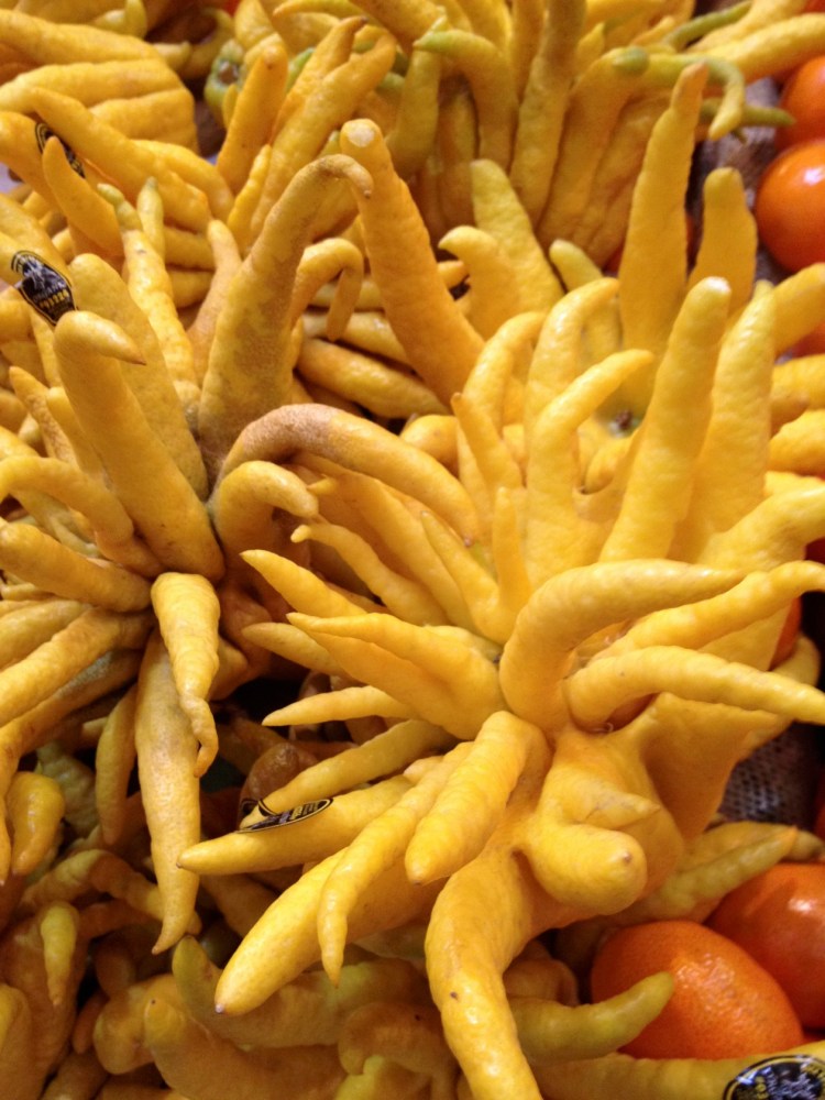 Buddha's hand citrus fruit