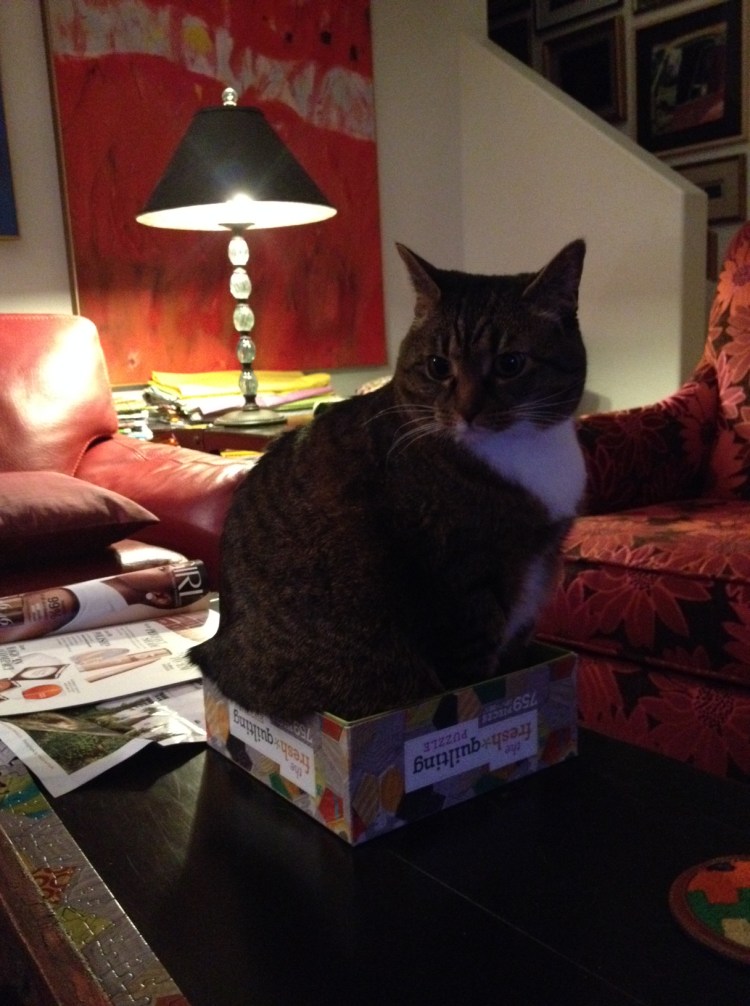 Kush in the puzzle box