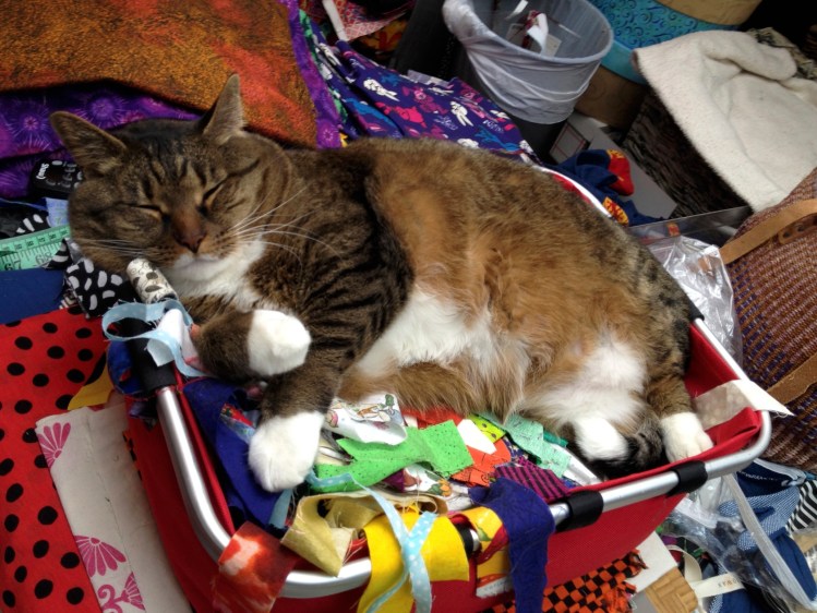 Kush in fabric basket