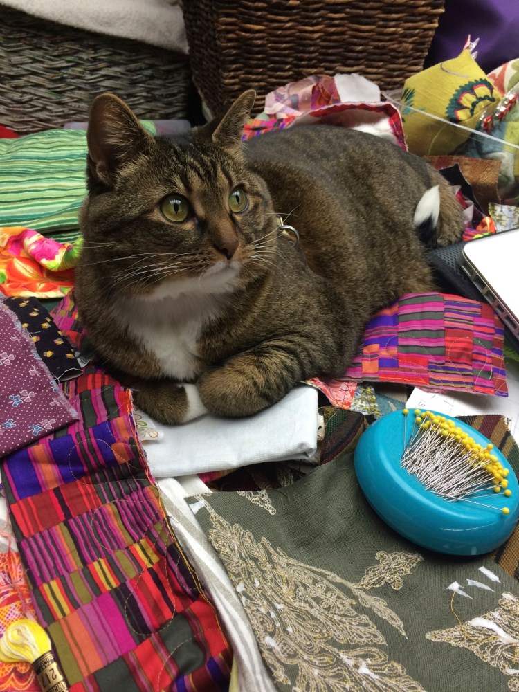 Kush watching me in the studio