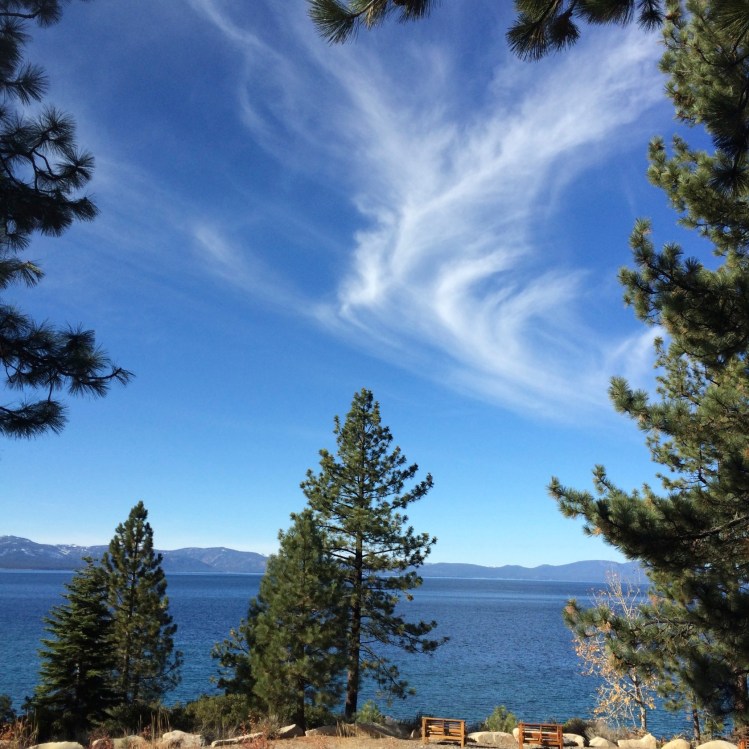beautiful lake view