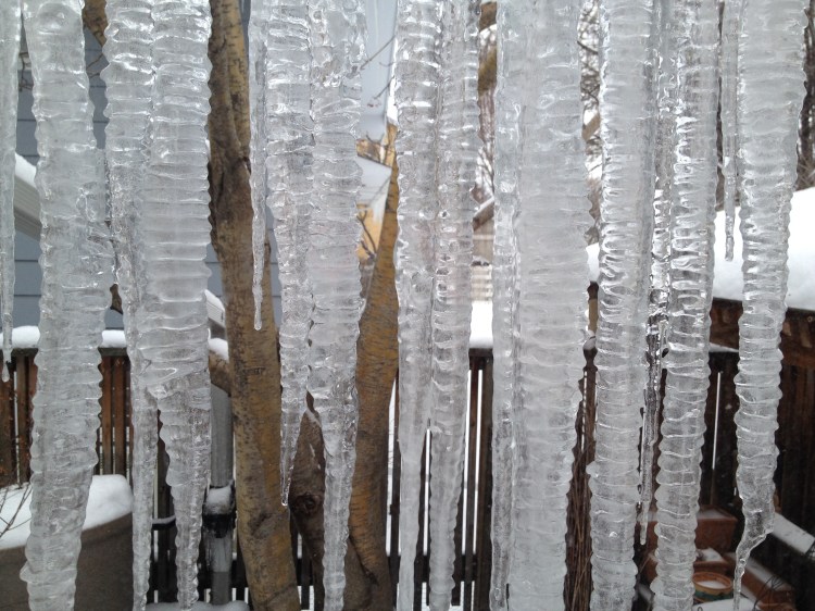 icicles