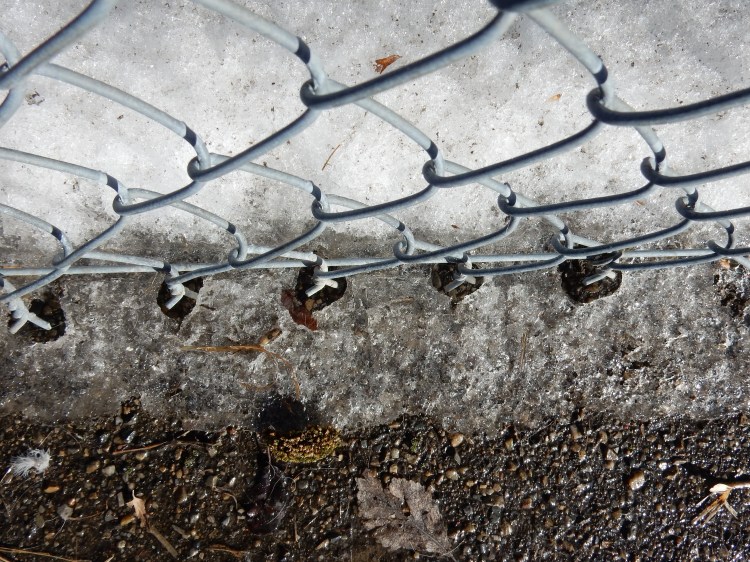 fence with ice and snow